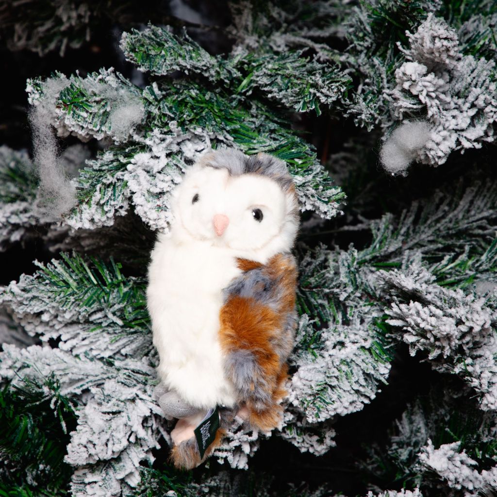 Clarence the Know it Owl