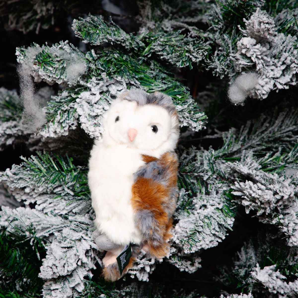 Clarence the Know it Owl