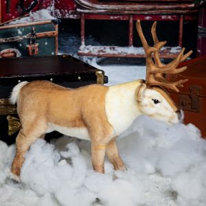 Lingonberry the reindeer