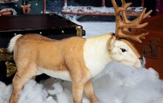 Lingonberry the reindeer