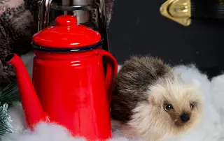 Tuppence the hedgehog in the snowy forest