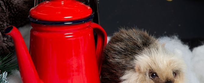 Tuppence the hedgehog in the snowy forest