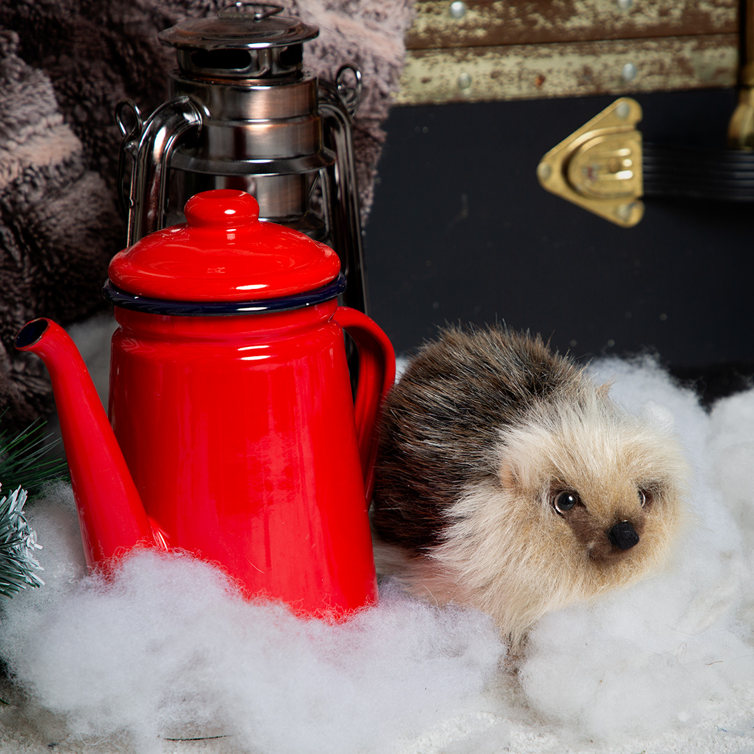 Tuppence the hedgehog in the snowy forest