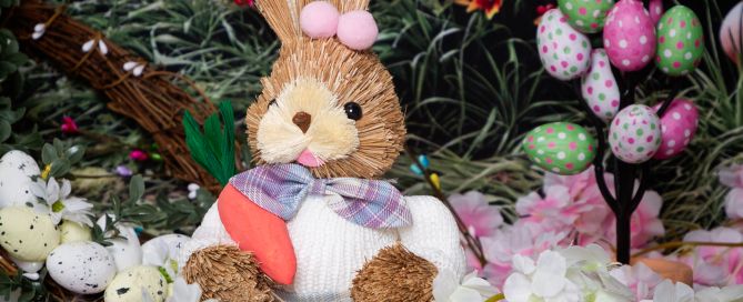 West Sussex Easter Mini Photo Shoot Event 2026 Image 2