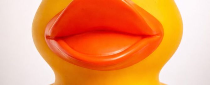 Head shot of a giant rubber duck