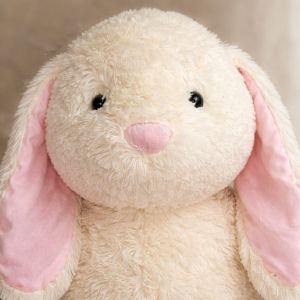 The Rabbit Head Shot