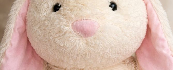 The Rabbit Head Shot