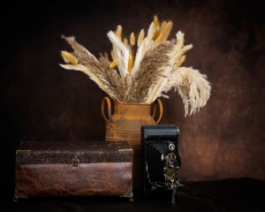 Father's Day Portrait Event 2026 West Sussex 7