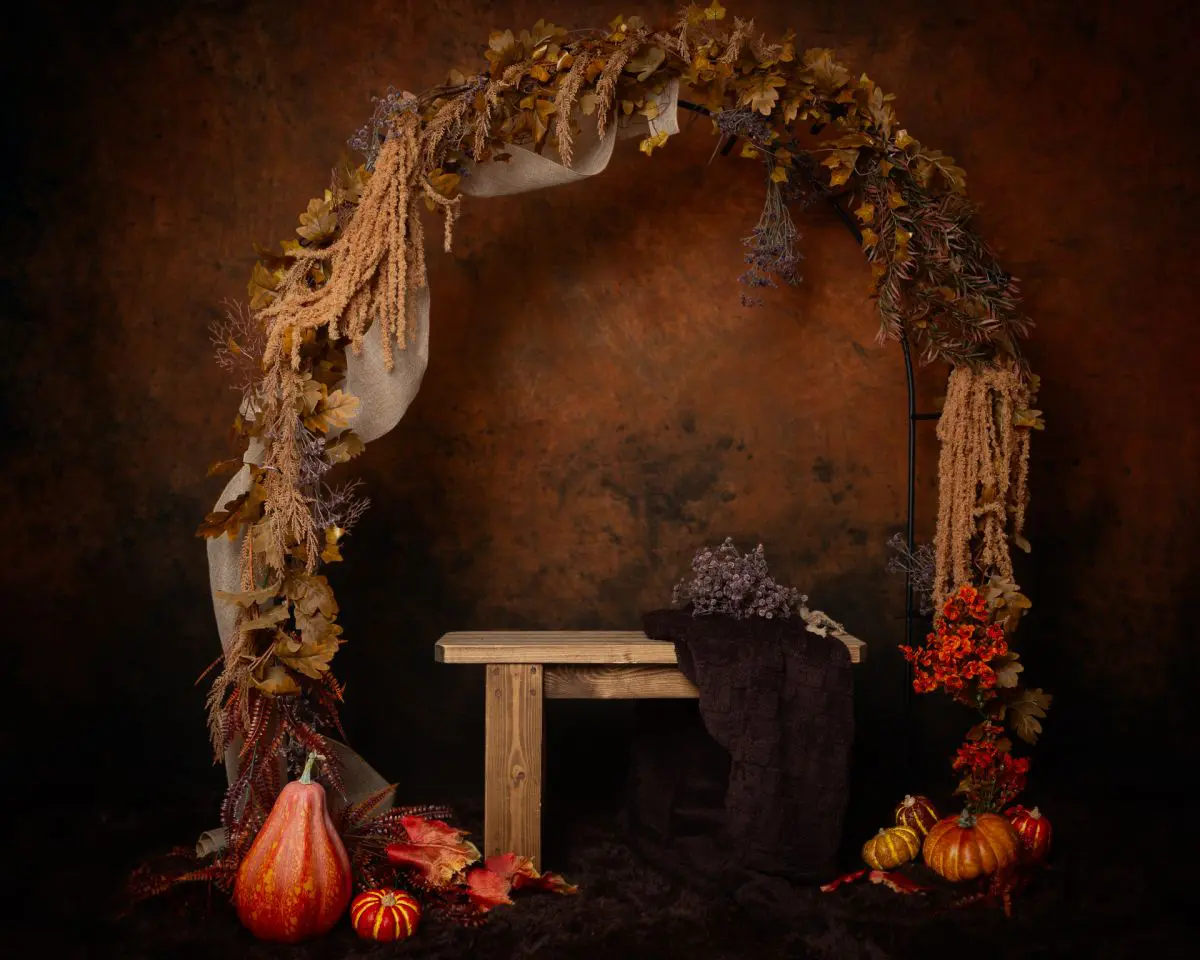 Pumpkin Patch Minis in West Sussex Studio 1