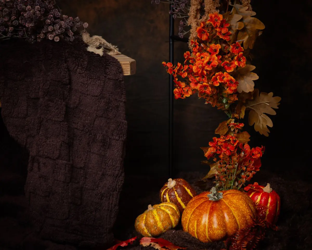Pumpkin Patch Minis in West Sussex Studio 2