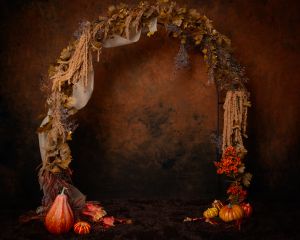 Pumpkin Patch Minis in West Sussex Studio 4