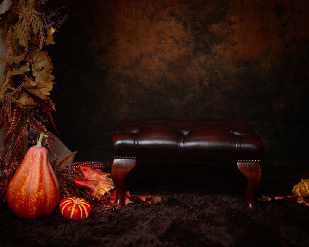 Pumpkin Patch Minis in West Sussex Studio 7