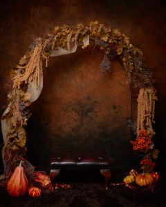 Pumpkin Patch Minis in West Sussex Studio 9