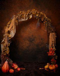 Pumpkin Patch Minis in West Sussex Studio 10