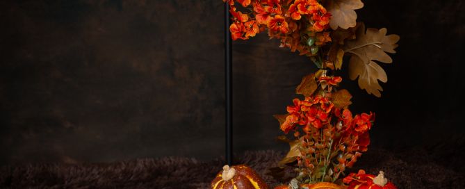 Pumpkin Patch Minis in West Sussex Studio 11