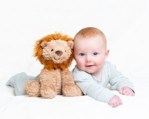 a little boy lies on his tummy posing next to his toy lion at a photo shoot