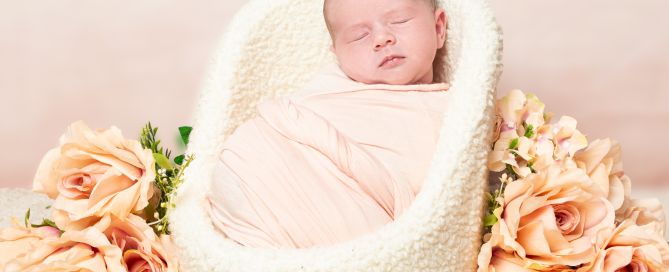 a little girl swaddled in peach sleeps in a chair next to peach flowers