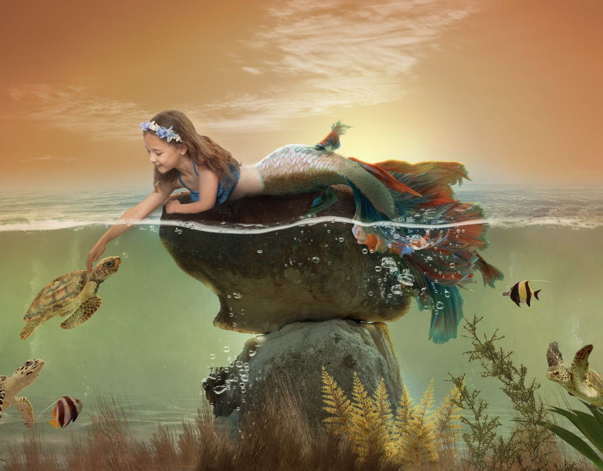 a digital piece of art where a little girl in mermaid form reaches to et a turtle