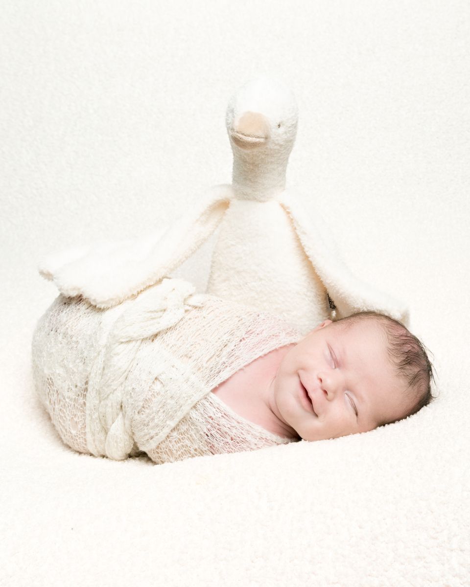 a swaddled newborn smiles in his sleep with his favourite goose toy behind him