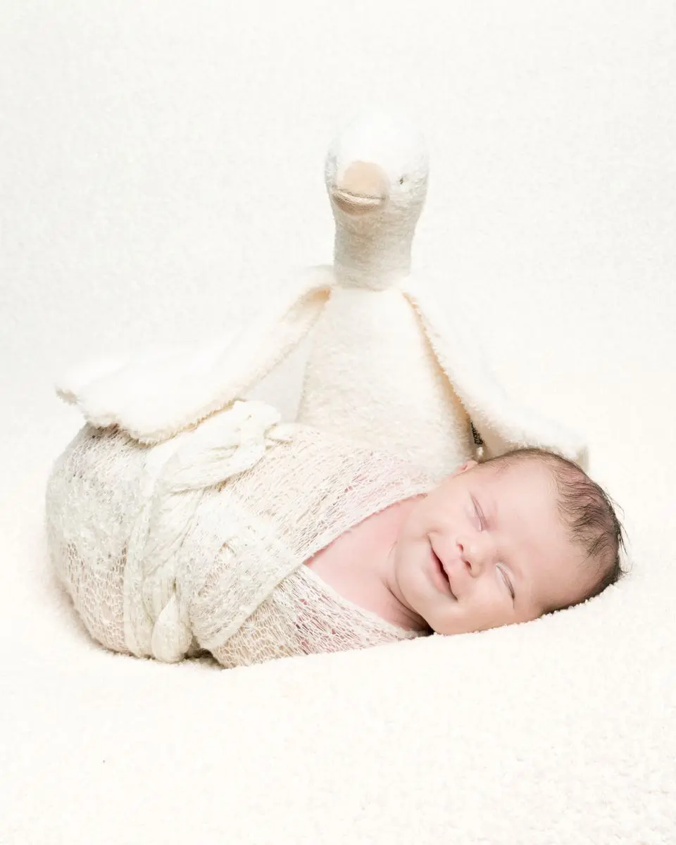 a swaddled newborn smiles in his sleep with his favourite goose toy behind him