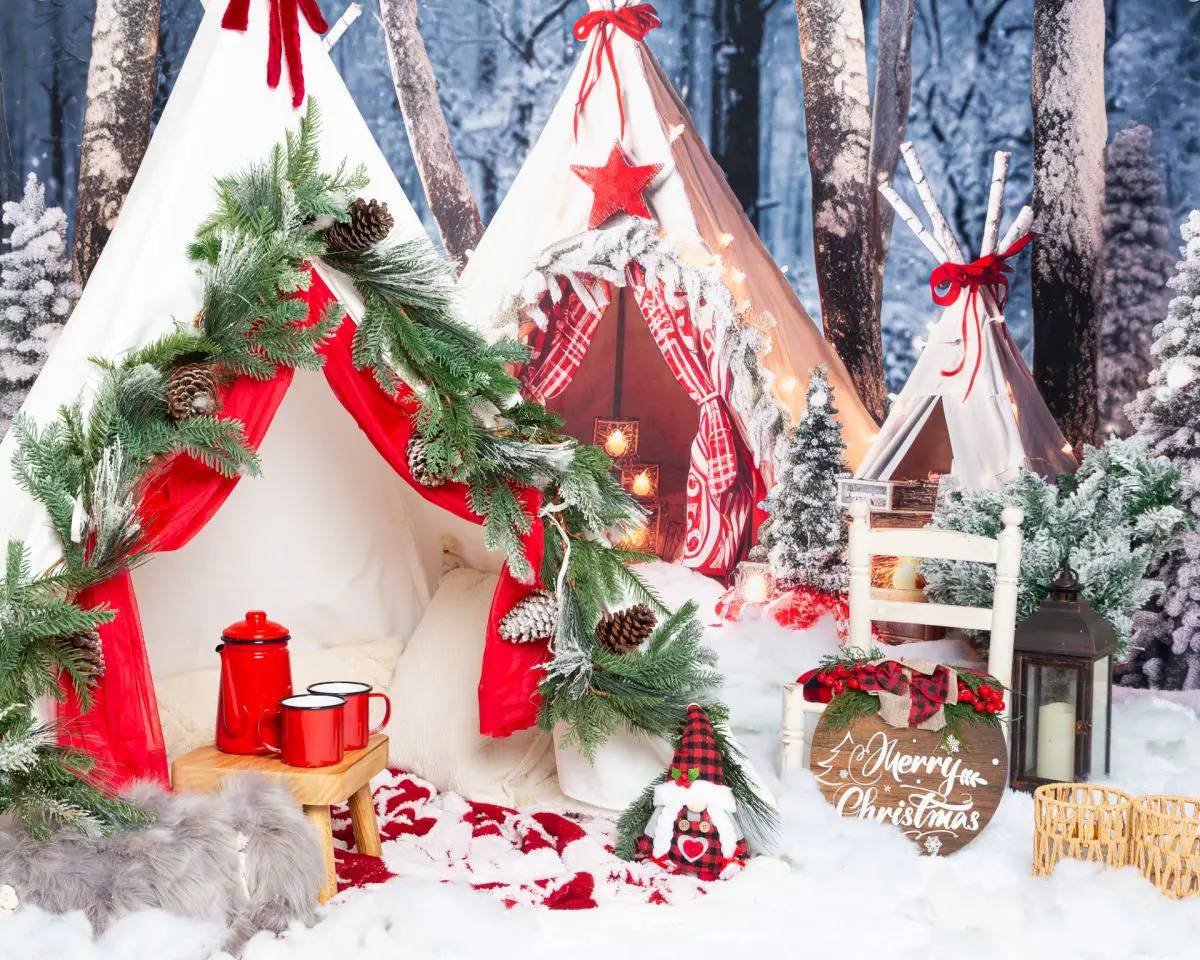 frosty forest mini christmas photo shoot set