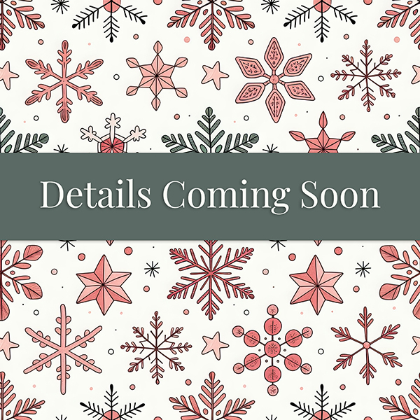 Christmas Set Details Coming Soon