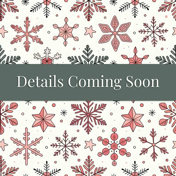 Christmas Set Details Coming Soon